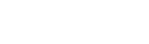 Bordax logo
